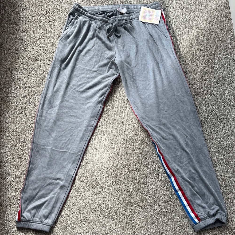 Gray Track Pants with Red and Blue Stripes